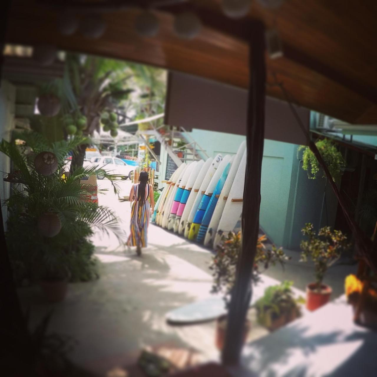 Cocobolo Surf Hotel & School Playa Santa Teresa  Extérieur photo